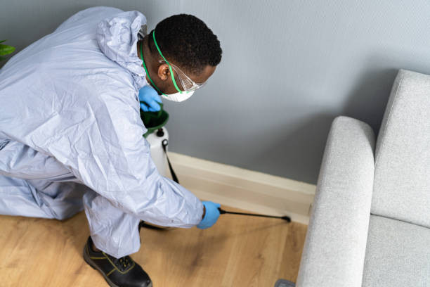 Best Commercial Pest Control  in Collierville, CA